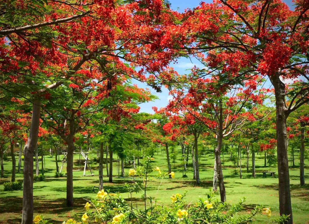 Ttc Resort - Doc Let Ấp Ninh Hòa  Exterior foto